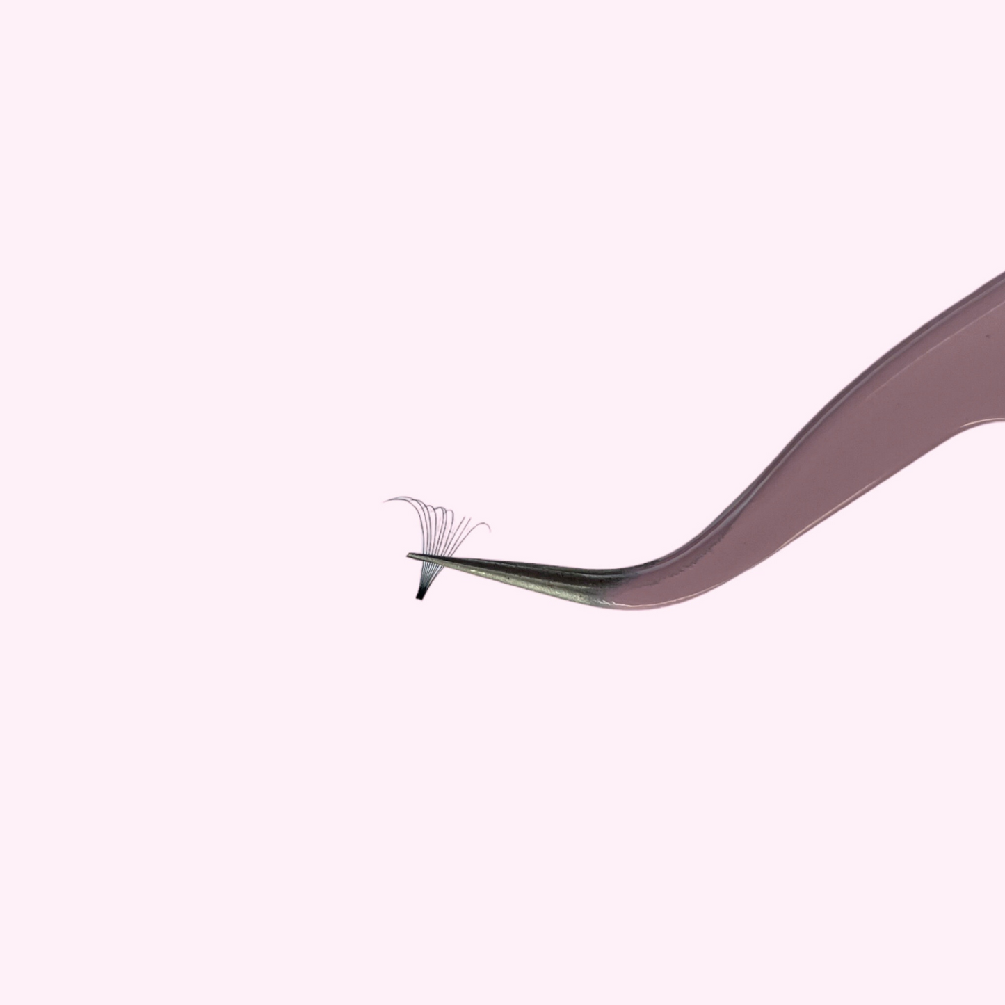 10D Short Stem Lash Tray, 0.05, D Curl - So-Phine Lashes