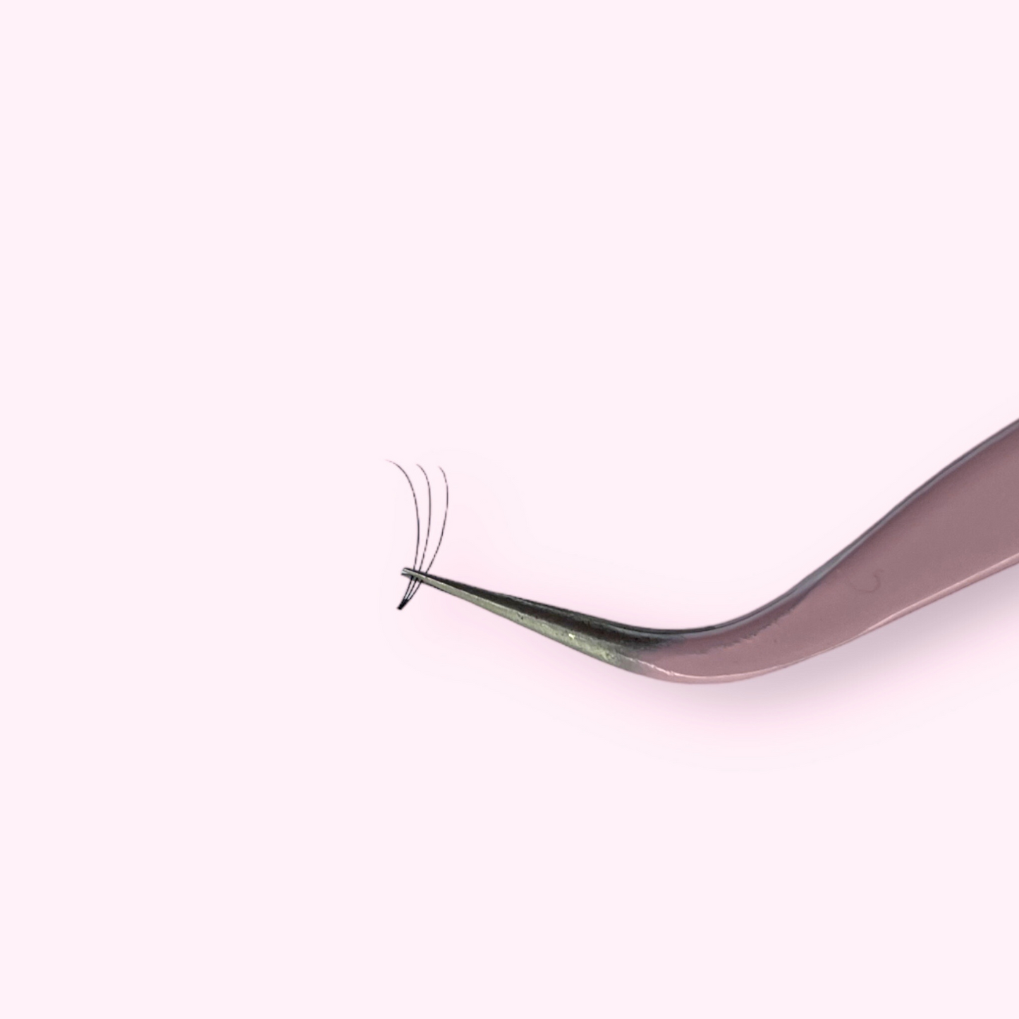 3D Short Stem Lash Tray, 0.10, D Curl - So-Phine Lashes