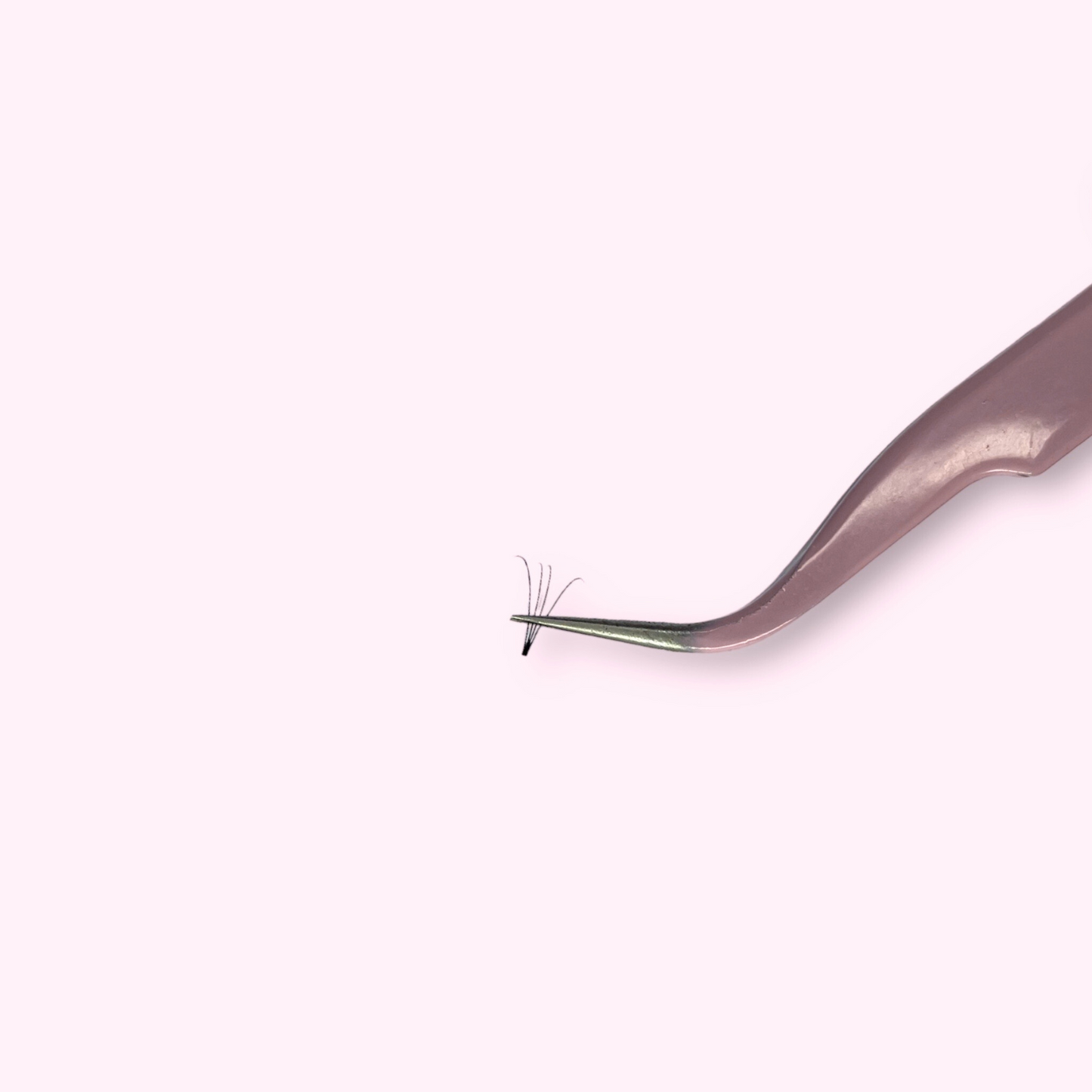 4D Short Stem Lash Tray, 0.10, D Curl - So-Phine Lashes