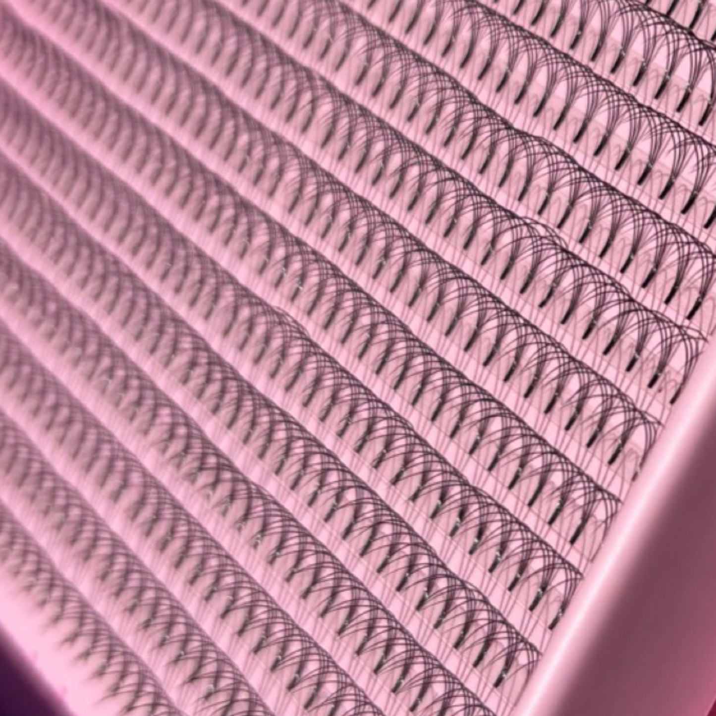 5D Short Stem Lash Tray, 0.10, D Curl - So-Phine Lashes