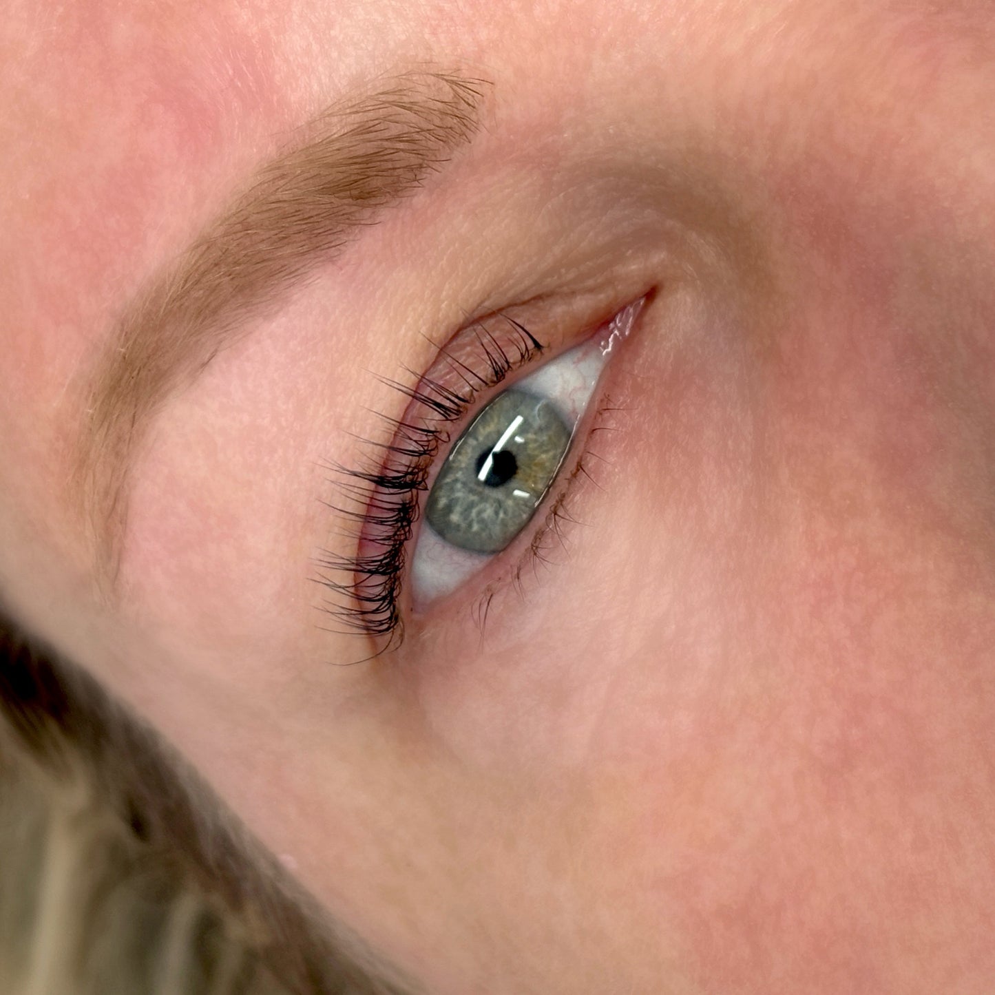 In-Person Lash Lift & Tint Course - So-Phine Lashes