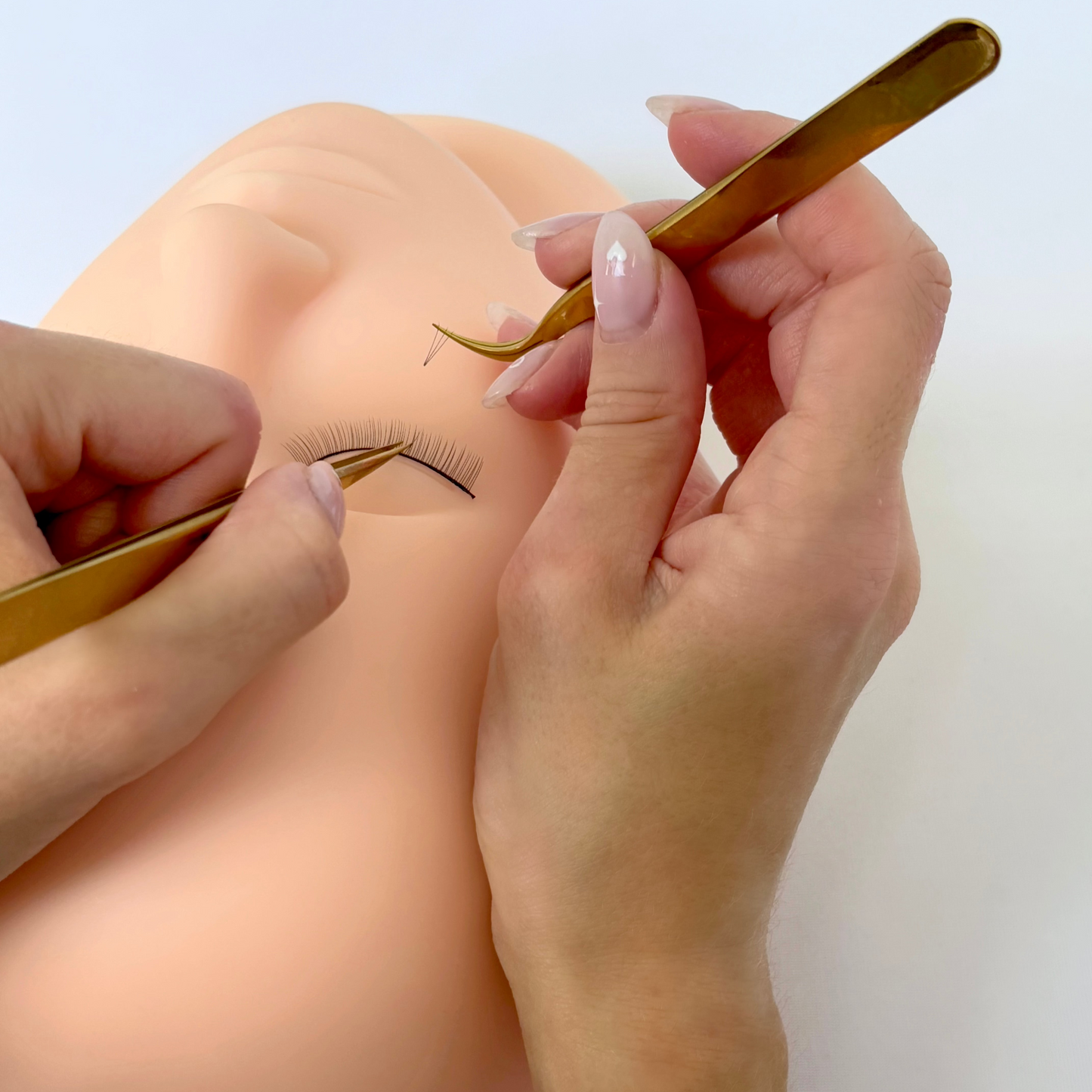 Online Eyelash Extension Course + 1 Day In-Person Training - So-Phine Lashes