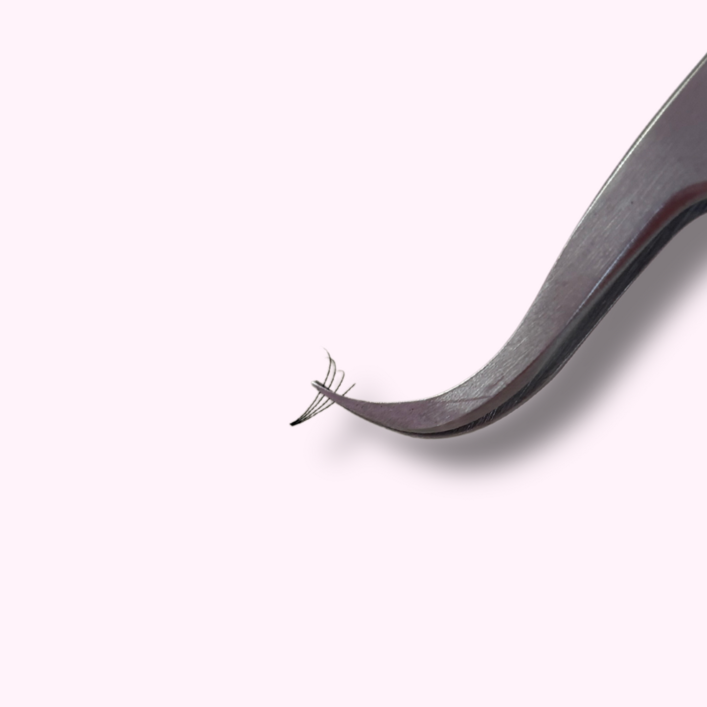 4D Short Stem Lash Tray, 0.07, D Curl