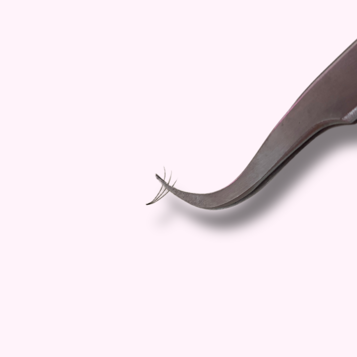 3D Short Stem Lash Tray, 0.07, C Curl