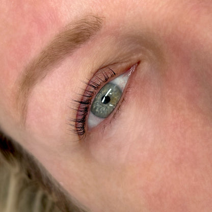 In-Person Lash Lift & Tint Course - So-Phine Lashes