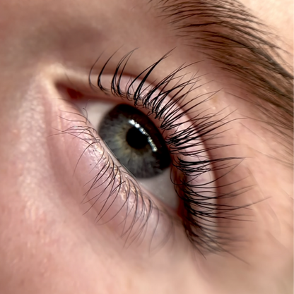 In-Person Lash Lift & Tint Course - So-Phine Lashes